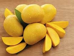 fresh mango, Brand Name : Mago, Certification : Sgs