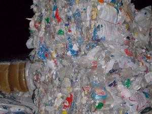 pet bottle scrap