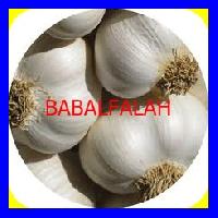Good Quality Garlic