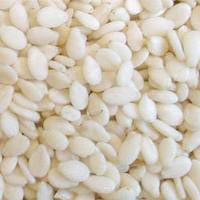 Natural Whitish Sesame Seeds