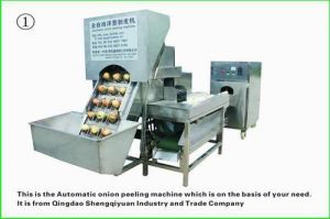 Onion Peeling Machine Onion Peeling Machine