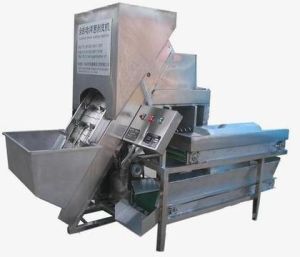 Onion Peeling Machine Onion Peeling Machine