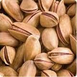 pine nuts,  Application : Human Consumption