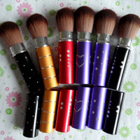 Easy Carry Retractable Brush