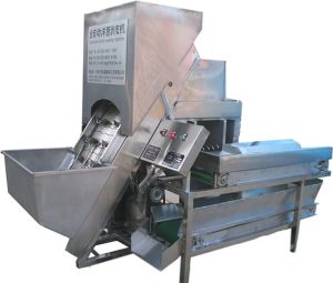 Full Automatic Onion Peeling Machine Full Automatic Onion Peeling Machine