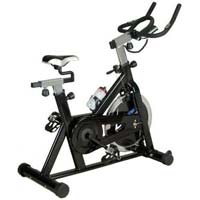 Lifeline Stainless Steel Exercise Fitness Spin Bike Cycle 20 Kgwheel
