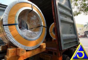 Stainless Steel Coil