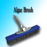 Algae Brush