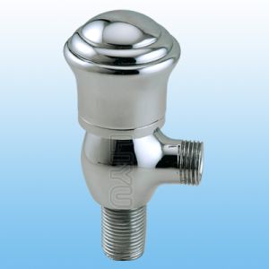 Angle Valve