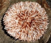 Bamileke Juju Hats In Various Colours