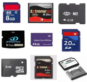 SD Memory Card