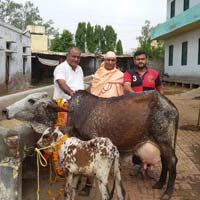 Retailer of Murrah Buffalo & Pure Desi Cow Ghee Khurana Dairy Farm ... image