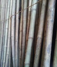 Assam Super Medium Bamboo