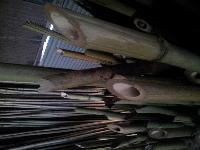 Chiwli Senda Konkan Bamboo