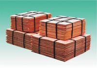 Red Copper Cathodes