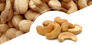 cashews Kernels