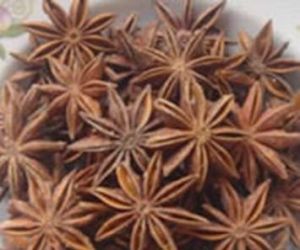 Shikimic Acid Shikimic Acid