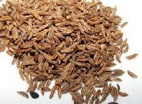 Caraway Seeds