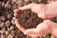 soil probiotic