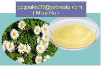 Chamomile Extract, Apigenin
