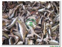 Dehydrated Boletus Edulis Slice Grade