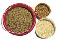 equine feed