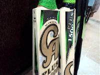 cricket bat