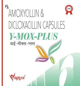 Y-Mox Plus Capsules