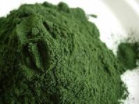 Spirulina