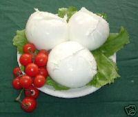 Mozzarella Cheese