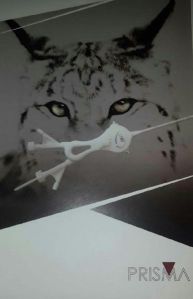 Lynx Epidural Catheter