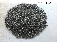 Pasture Seed Coating Of Brachiaria Brizantha