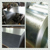 Galvanized Steel Coils