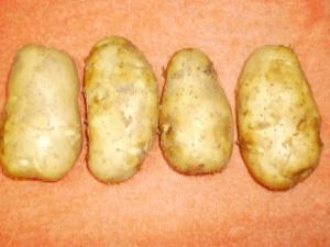 fresh potato
