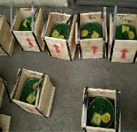 Liquid Mercury Metal