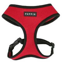 Dog Body Belts