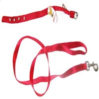 Dog Collar Leash Set Nylon