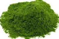 coriander powder