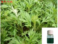 Artemisia Argyi Oil Artemisia Argyi Oil