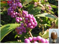 Callicarpa Kwangtungensis Dry Extract Callicarpa Kwangtungensis Dry Extract