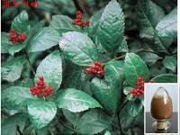 Herba Sarcandrae Dry Extract Herba Sarcandrae Dry Extract