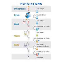DNA &amp;amp; RNA Extraction Kit