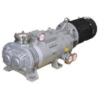 Dry screw vacuum pump