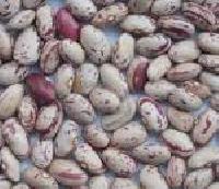 white kidney beans