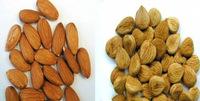 Almond Nuts