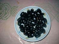 Jatropha Seeds