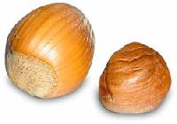 Hazelnuts