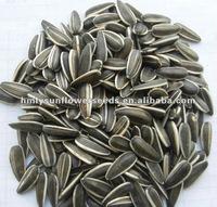 sunflower seeds