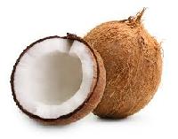 Fresh Indian Coconut Supplier /Manufacture /Exporters