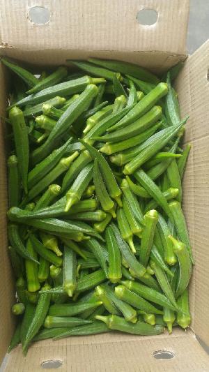 Fresh Lady Finger Supplier /Manufacture/Exporters In India